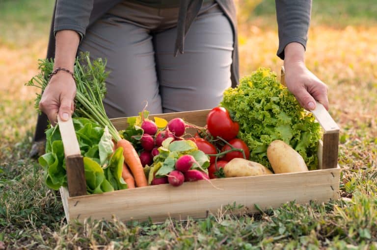 Tout ce qu’il faut savoir sur l’agriculture biologique et les produits bios