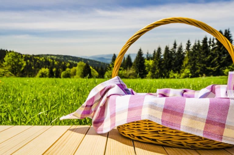 Quelques conseils pour faire de votre pique-nique un moment de plaisir