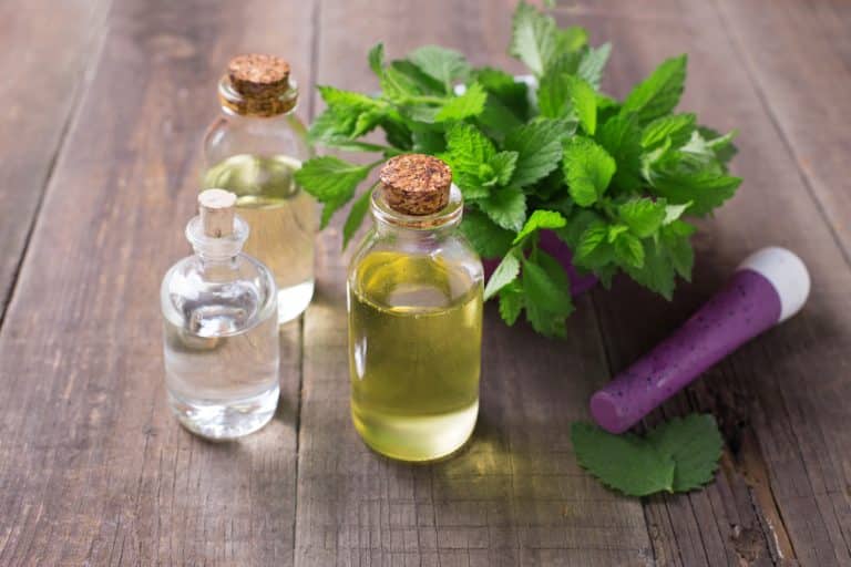 Concocter son produit de beauté 100% naturel