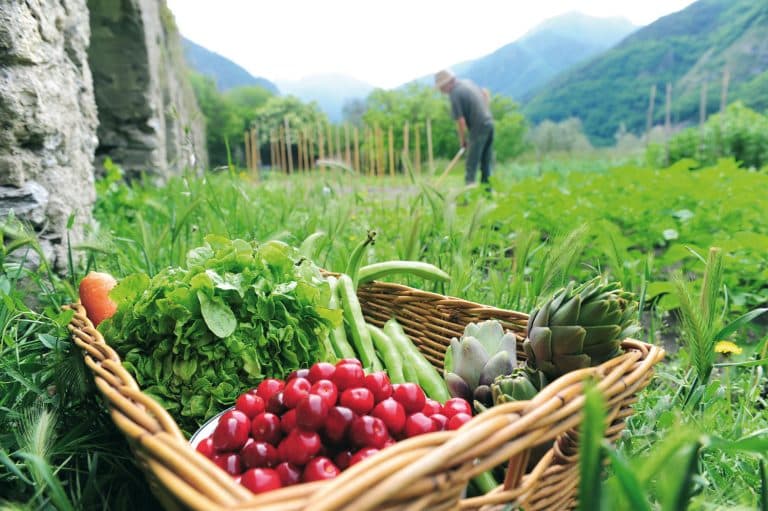 Un mode d’alimentation bio pour être en forme