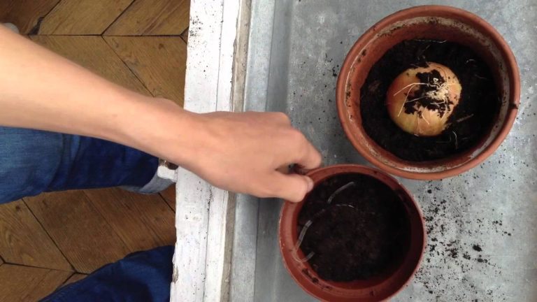 Fini le gaspillage alimentaire !