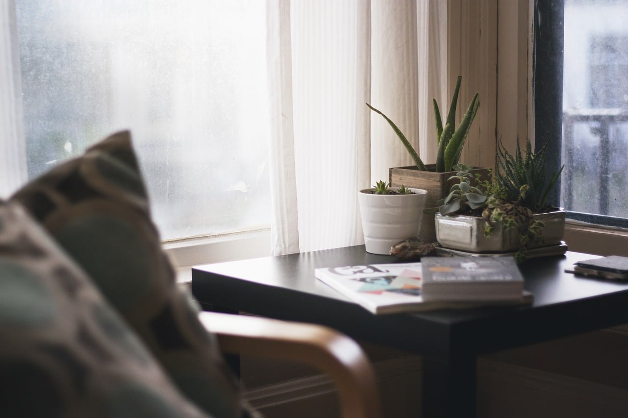 Comment choisir les plantes d’intérieur ?