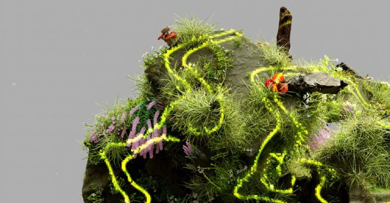 Comment favoriser des évolutions respectueuses de la biodiversité bio ?
