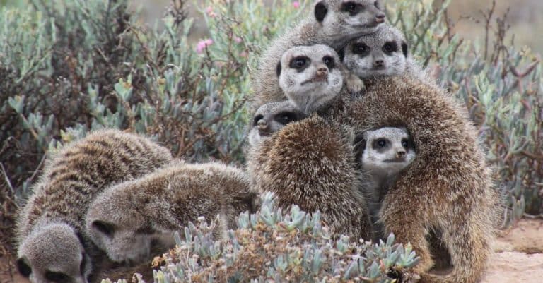 Comment opérer des changements respectueux de la biodiversité bio?