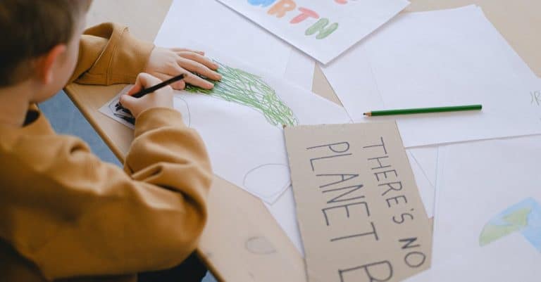 Quelles sont les innovations respectueuses de l&rsquo;écosystème bio ?