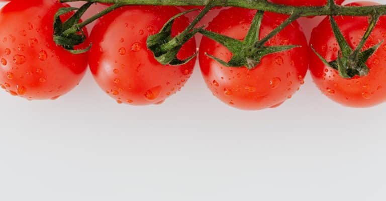 Quelles sont les tendances bio à suivre ?