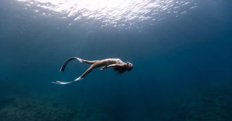 Quelles sont les découvertes les plus fascinantes des explorations bio ?