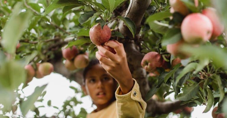 Quelles sont les transformations bio à adopter pour améliorer votre vie ?