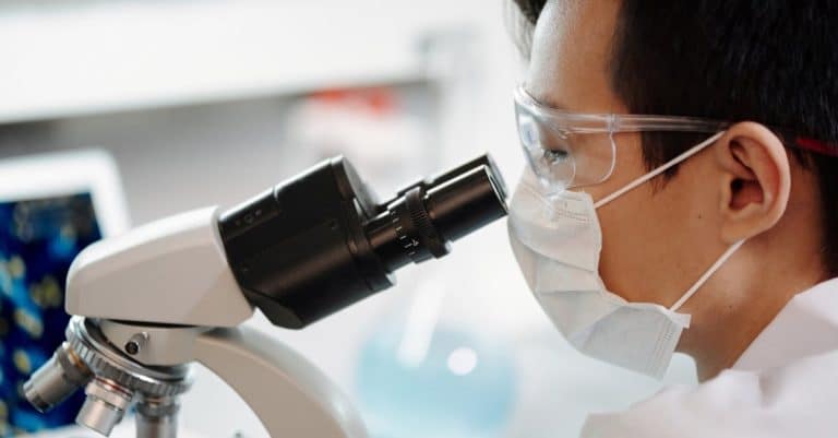 Quelles sont les dernières découvertes bio ?
