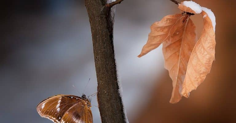 Comment fonctionnent les transitions bio dans notre quotidien ?
