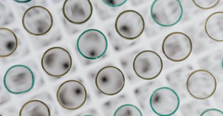 Quelles sont les dernières innovations bio à découvrir ?