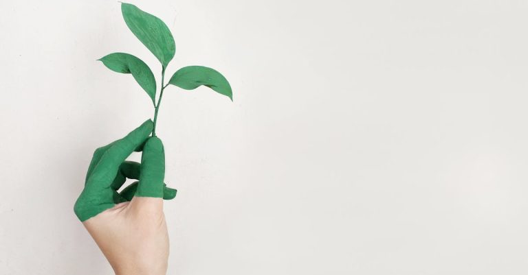 Les nouveaux débuts bio : vers un avenir plus durable ?