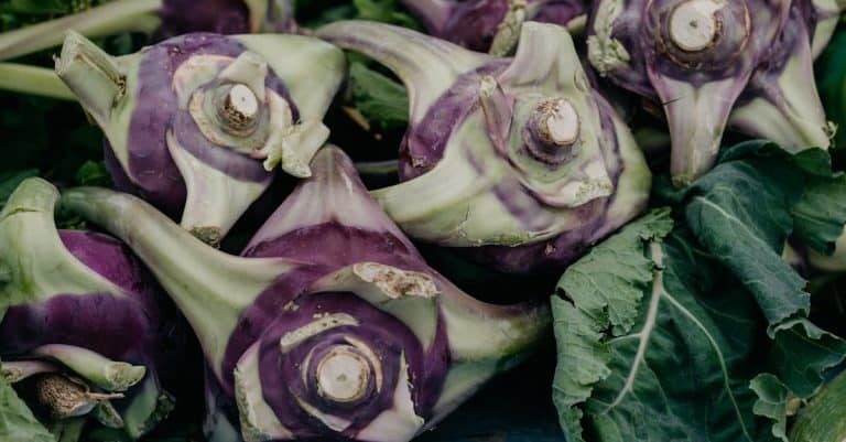 Quels sont les nouveaux débouchés bio ?