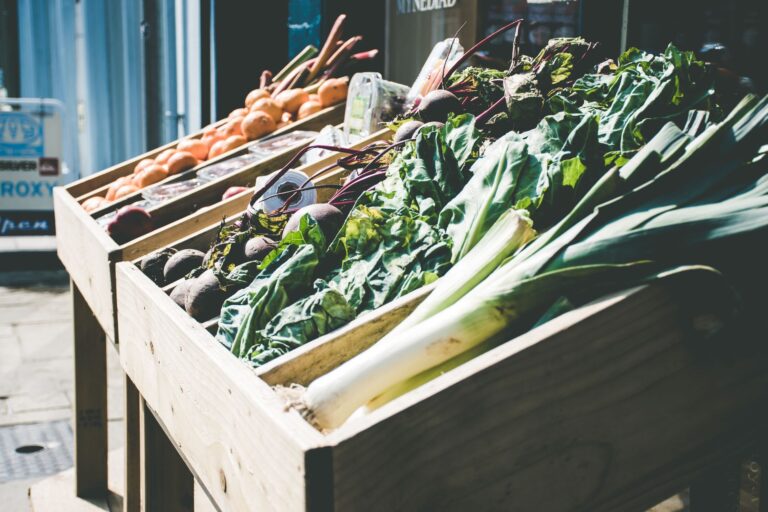 Nouvelles renaissances bio : Quelles perspectives pour l&rsquo;avenir de l&rsquo;agriculture biologique ?