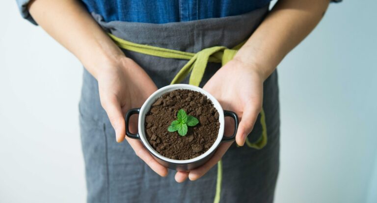 Quels sont les nouveaux changements dans le domaine du bio ?