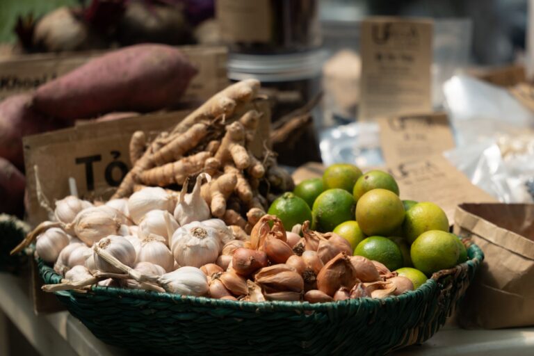 Quels sont les nouveaux débouchés dans le domaine bio ?