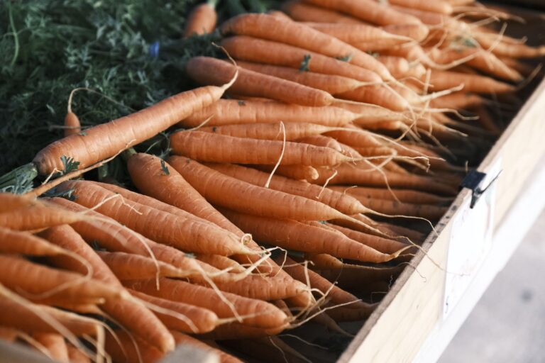 Quelles sont les dernières mises à jour importantes dans le domaine de la bio ?
