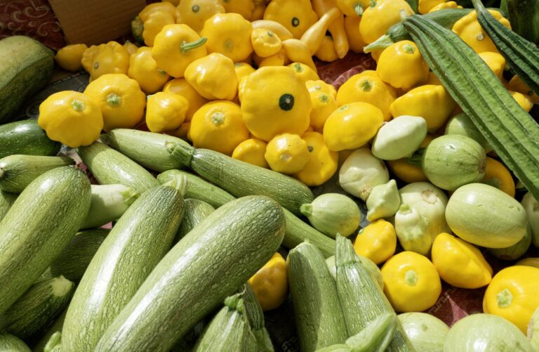 Quelles sont les nouvelles améliorations bio ?