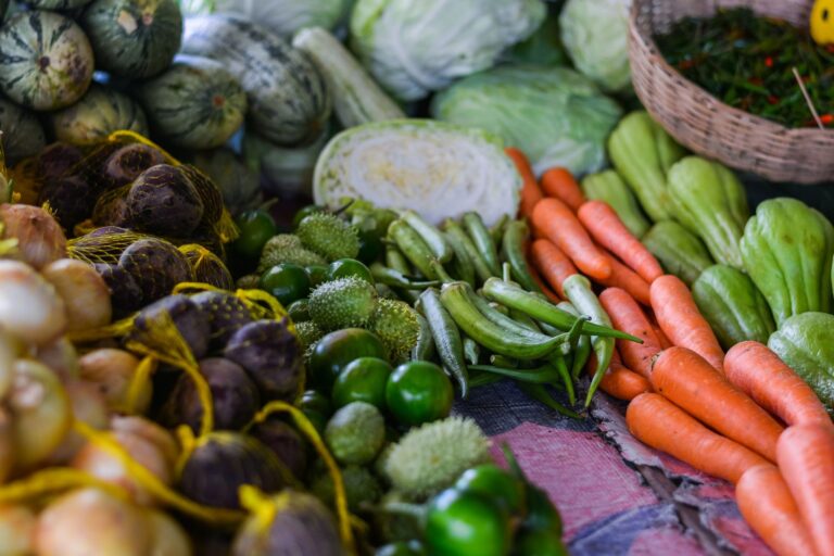 Quelles sont les perspectives futures de la bio?