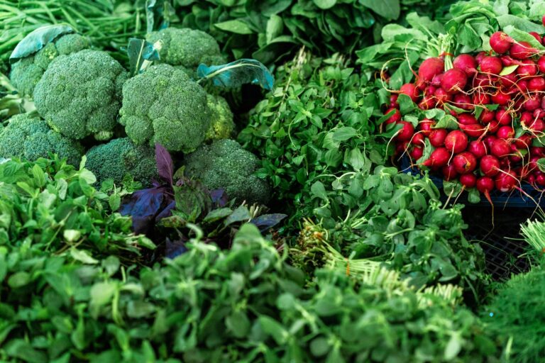 Quelles sont les avancées durables du bio ?