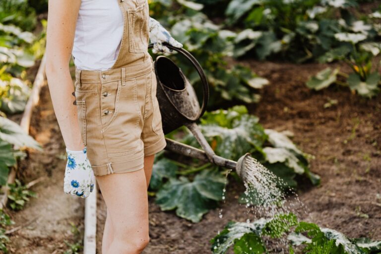 Comment adopter des changements durables dans sa vie grâce au bio ?