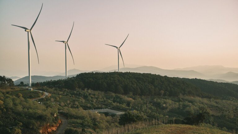 Les évolutions durables bio : une révolution écologique ?