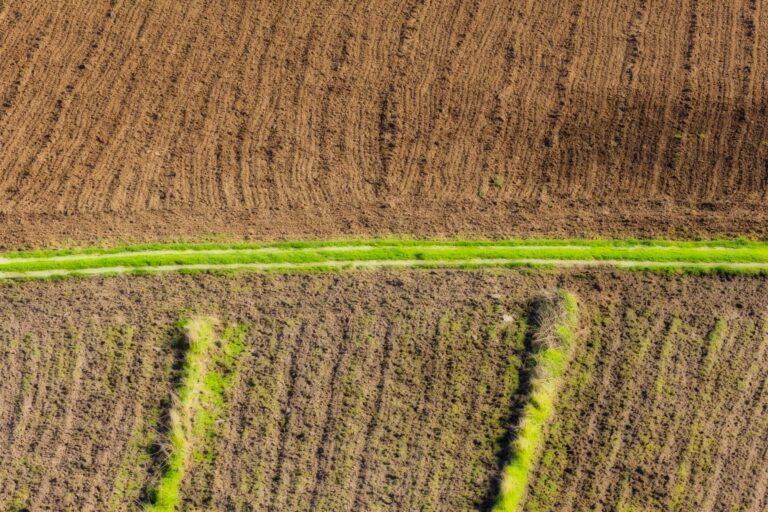Qu&rsquo;est-ce que constitue une renaissance durable dans le domaine de la bio ?