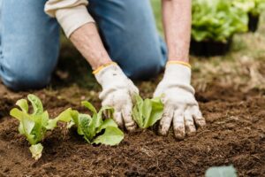 Comment mener des explorations respectueuses de l&rsquo;environnement bio ?