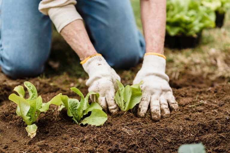 Comment mener des explorations respectueuses de l&rsquo;environnement bio ?