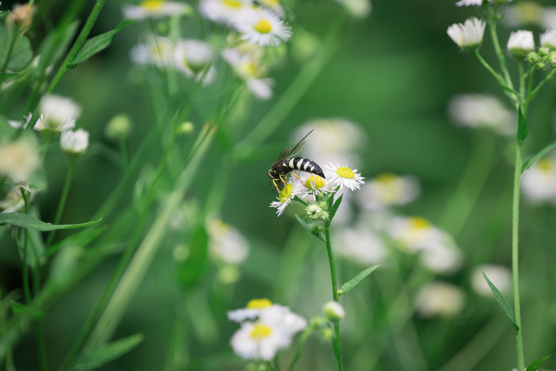 Quelles sont les avancées respectueuses de l&rsquo;environnement dans le domaine du bio ?