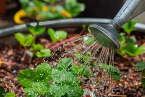 Comment adopter des changements respectueux de l&rsquo;environnement bio ?