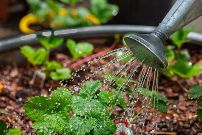 Comment adopter des changements respectueux de l&rsquo;environnement bio ?