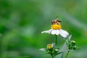 Quels sont les progrès respectueux de l&rsquo;environnement dans le domaine bio ?