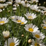 Comment adopter de nouvelles perspectives respectueuses de l&rsquo;environnement dans le bio ?
