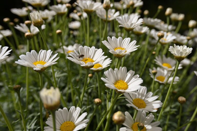 Comment adopter de nouvelles perspectives respectueuses de l&rsquo;environnement dans le bio ?
