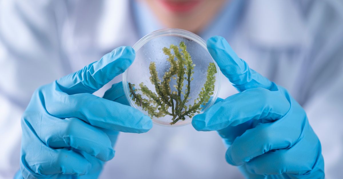 Quelles sont les dernières avancées en bio ?