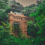 À Hachijo, la jungle a englouti un ancien palace baroque