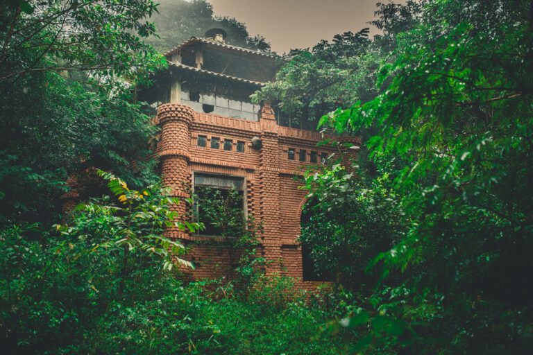 À Hachijo, la jungle a englouti un ancien palace baroque