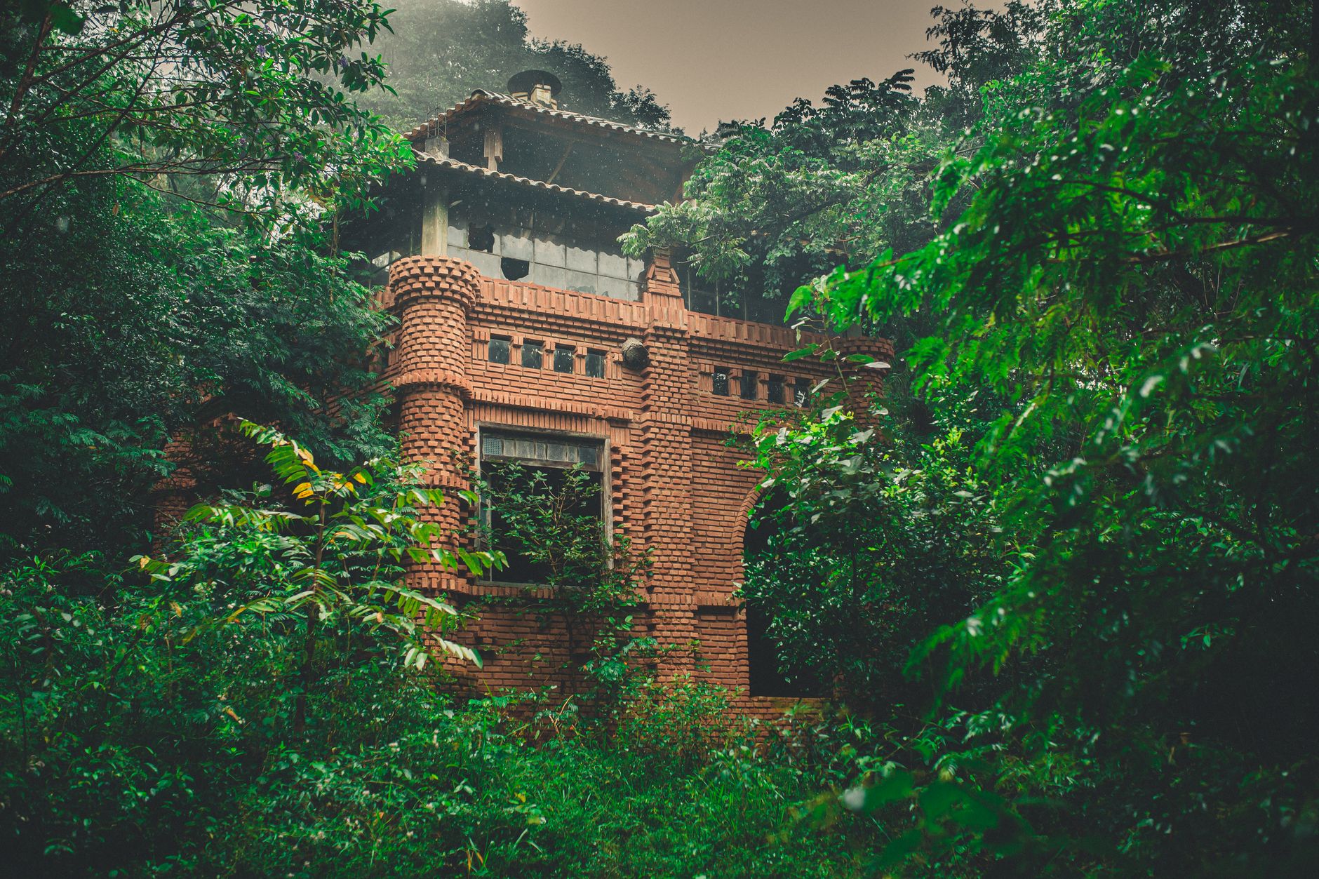 À Hachijo, la jungle a englouti un ancien palace baroque