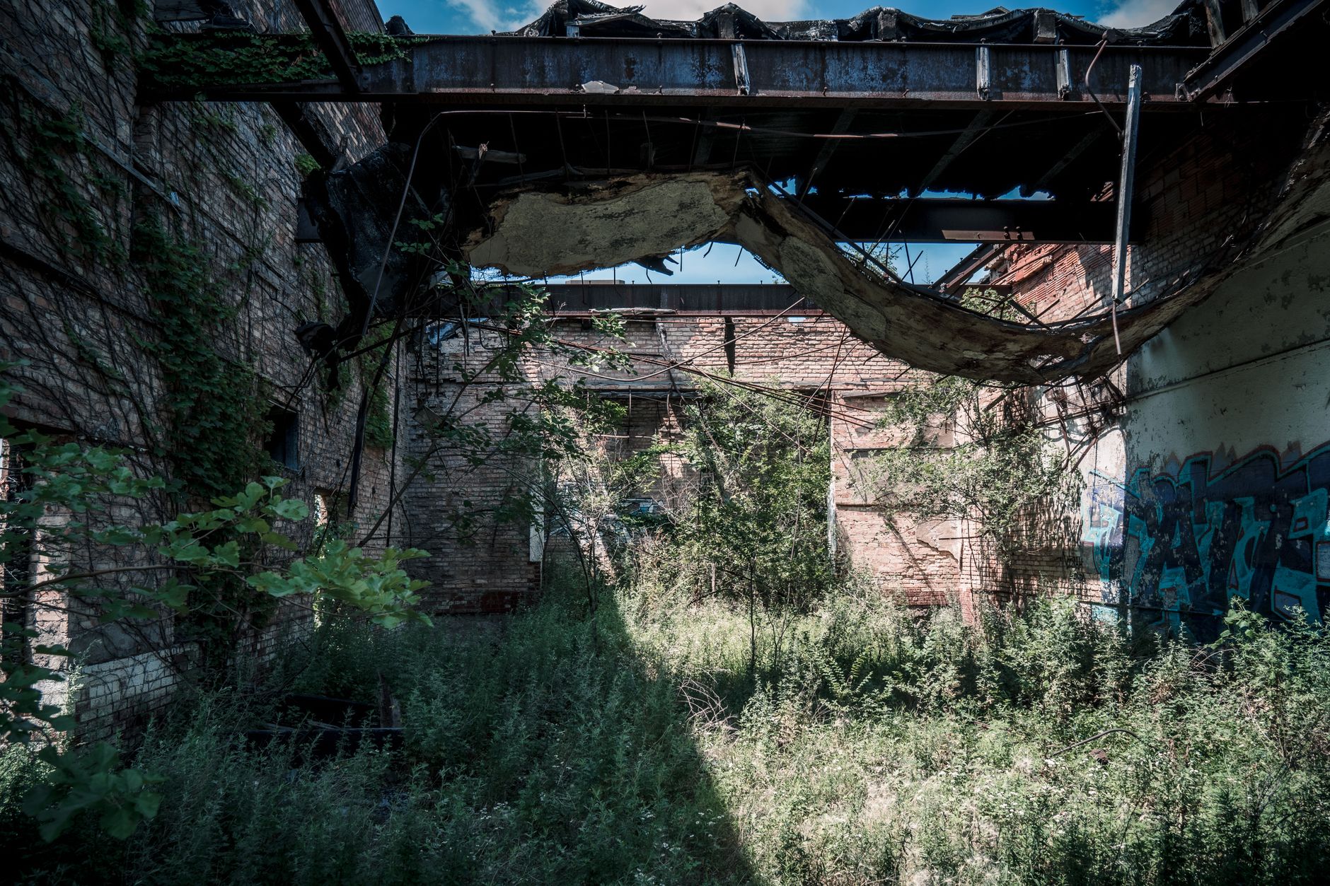 Intérieur d’un bâtiment abandonné au toit effondré, envahi par les herbes et les arbustes