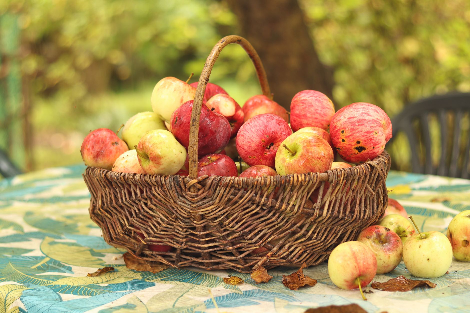 Panier en osier rempli de pommes rouges et jaunes sur une table