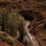 Grain for Green sur le plateau de Loess : moins d’érosion, mais un bilan hydrique qui pose question